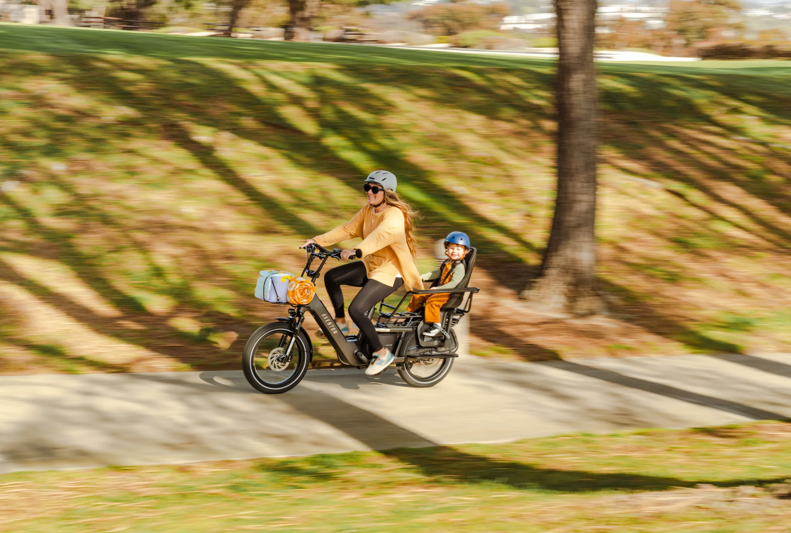 Aventon Handrail - Abound LR - Image 6