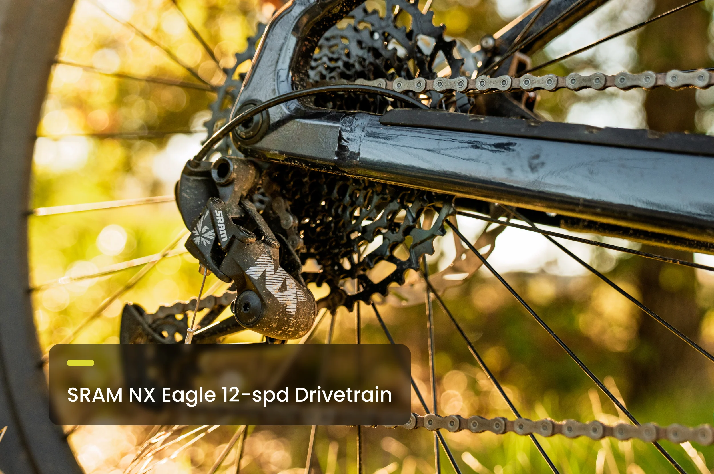 Ramblas ADV Ebike - Image 12