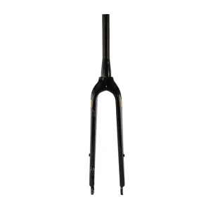 Aventon Fork